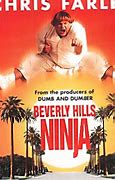 Image result for Beverly Hills Ninja Actor