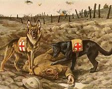 Image result for Albanians Fighting in Croatian War