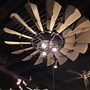 Image result for Living Room Ceiling Fans with Lights