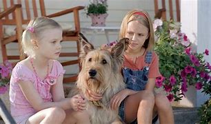 Image result for Because of Winn-Dixie Film