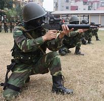 Image result for Special Forces in Vietnam