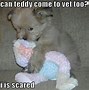 Image result for Cute Babies Puppies with Funny Quotes