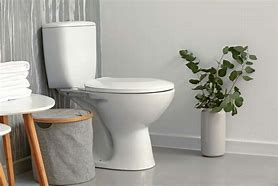 Image result for Toilets UK