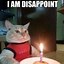 Image result for Happy Birthday Funny Cat