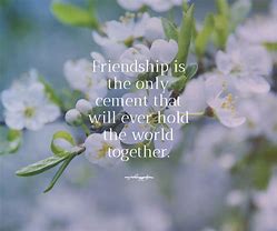 Image result for Beautiful Quotes About Friendship