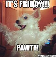 Image result for Happy Friday Meme