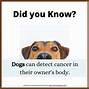 Image result for Did You Know Fun Facts