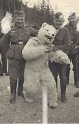 Image result for German Paratroopers with Bear