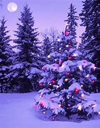 Image result for Christmas Backgrounds