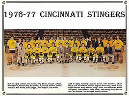 Image result for Cincinnati Ice Hockey Team