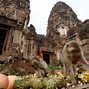 Image result for Monkey Dinner Attraction Thailand Lopburi