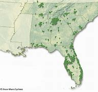 Image result for Publix Store Map