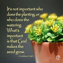 Image result for bible verse about plants
