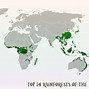 Image result for Tropical Rainforest Africa Map