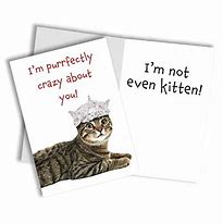 Image result for Cat Valentine Humor