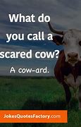 Image result for Cow Jokes for Kids