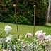 Image result for Decorative Metal Stakes for Garden