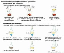 Image result for Souain Experiment