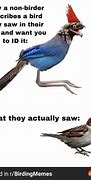 Image result for Funny Bird Jokes