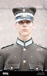 Image result for Latvian SS Uniform Costume