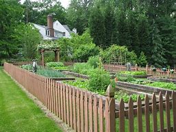 Image result for Small Fence