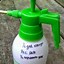 Image result for Homemade Weed Killer Spray