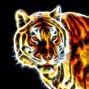 Image result for Cool Backgrounds Blue Fire Tiger