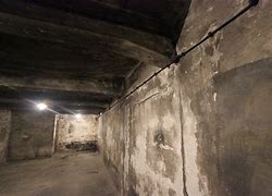 Image result for Mauthausen Gas Chamber