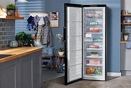 Image result for Ice Maker in Door vs in Freezer