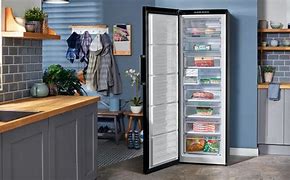 Image result for Upright Small Space Freezers