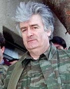 Image result for Radovan Karadžić
