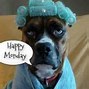 Image result for HD Good Morning Humor