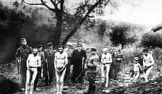 Image result for World War Hanged