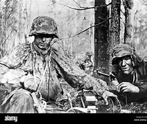 Image result for Waffen SS Officer