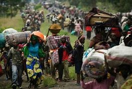 Image result for Congo War Bodies