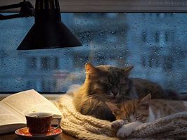 Image result for pictures of a cold rainy winter day