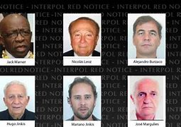Image result for Interpol's Most Wanted