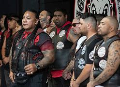Image result for Fourth Reich New Zealand Gang