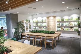 Image result for Innisfree Cafe