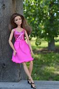 Image result for Barbie Doll Pink Dress