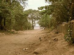 Image result for Hurricane Mitch Damage