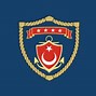 Image result for Turkish War of Independence Flag