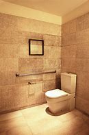 Image result for Luxury Toilet