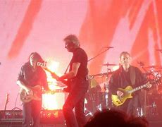 Image result for Roger Waters Cats