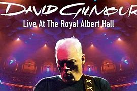 Image result for David Gilmour Young Guitar