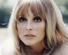 Image result for Sharon Tate Asesinato