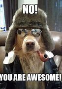 Image result for No You Are Awesome Meme