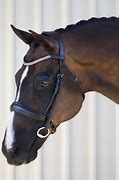 Image result for Dressage Single Bridles Chunky