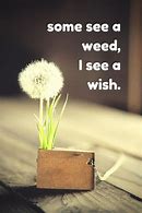Image result for Funny Positive Daily Thoughts