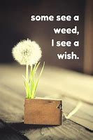 Image result for Positive Thoughts Quotes Funny